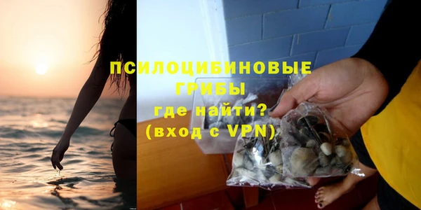 гидропоника Дмитровск