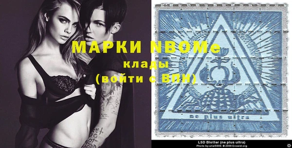 шишки Тихвин