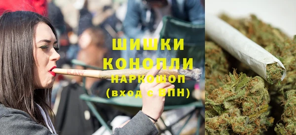 меф Дмитриев