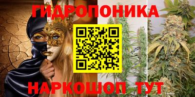 шишки Коммунар