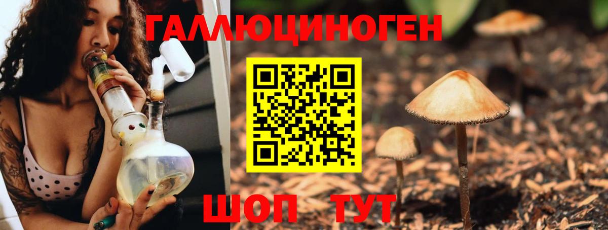 Галлюциногенные грибы мухоморы Урюпинск